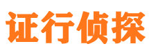 临渭市侦探调查公司